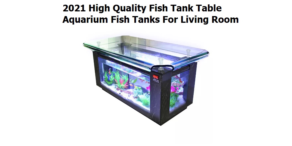 What Should You Look for in a Coffee Table Aquarium